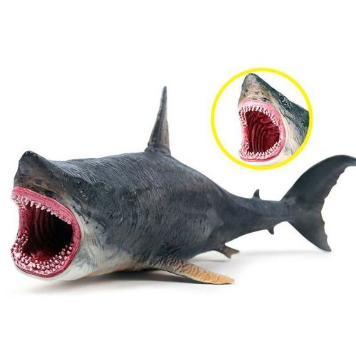Grande Figurine De Requin Réaliste En Plastique, 1 Pièce, Jouets De Fête Cognitive, Modèle De Requin, Cadeau Pour Enfant