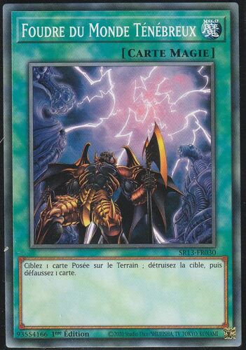 Carte Yu-Gi-Oh - Foudre Du Monde Tenebreux - Sr13-Fr030 -