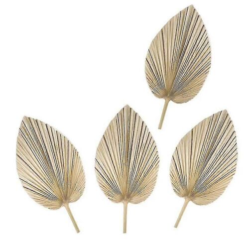 4pcs Feuilles de palmier séchées Ventilateurs de palmier séchés Plantes artificielles Feuilles de palmier