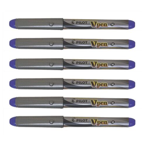 Pilot Lot De 6 Stylos Plume V-Pen Silver Pointe Moyenne Violet