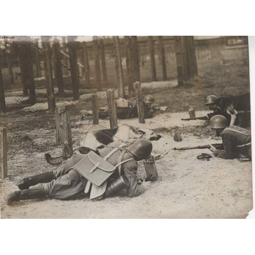 Photo Ancienne Situee - Les Chiens Dans L Armee Polonaise