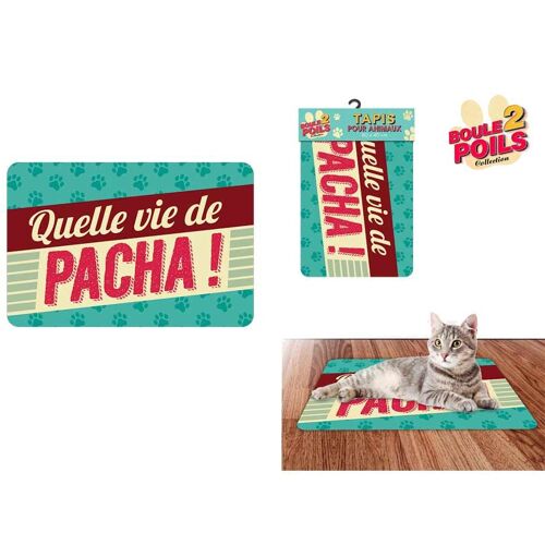 Tapis Pour Animaux 60 X 40 Cm - Pacha