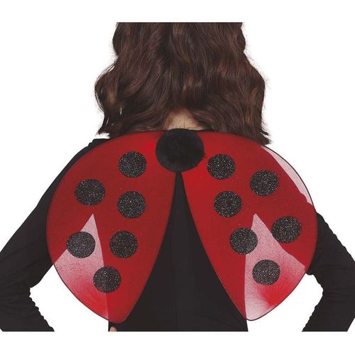 Ailes De Coccinelle Rouge Et Noire 40x30 Cm