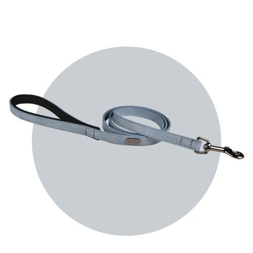 Laisse Simili Basics Bleu - Taille 20 Mm X 105 Cm