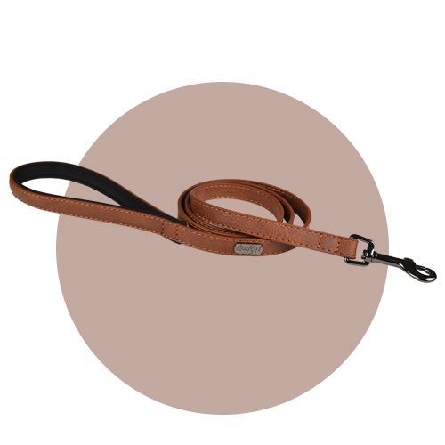 Laisse Simili Basics Marron - Taille : 20 Mm X 105 Cm