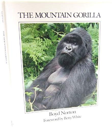 The Mountain Gorilla