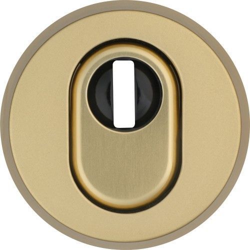 Rosace de protection de cylindre - aluminium or - RHZS415 F3 ABUS
