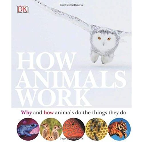 How Animals Work (Dk Reference)