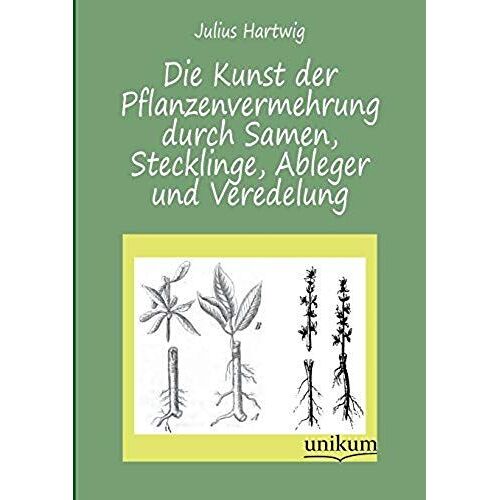 Die Kunst Der Pflanzenvermehrung Durch Samen, Stecklinge, Ableger Und Veredelung