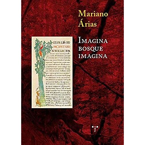 Imagina Bosque Imagina