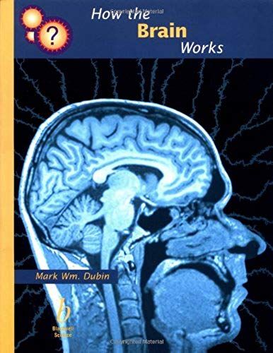 How The Brain Works (How It Works Series)