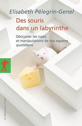 Des Souris Dans Un Labyrinthe - Décrypter Les Ruses Et Manipulations De Nos Espaces Quotidiens