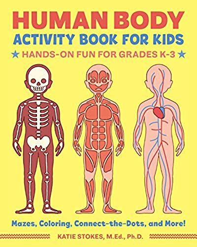 Human Body Activity Book For Kids