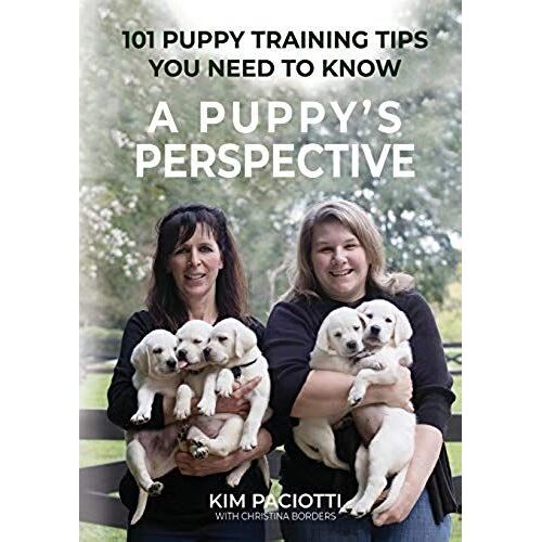 A Puppy's Perspective