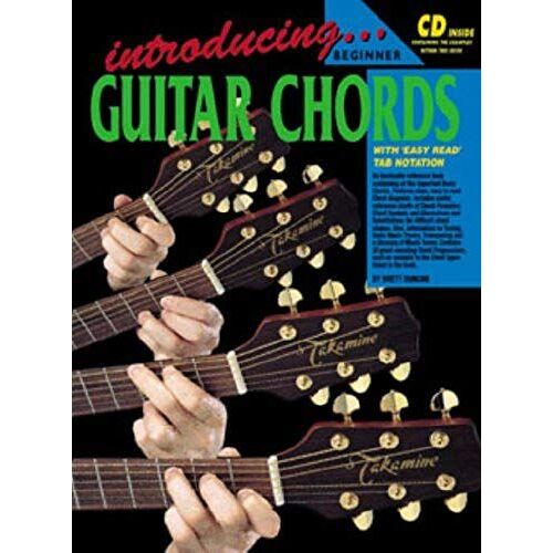 Introducing Guitar /