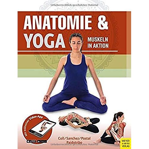 Anatomie & Yoga