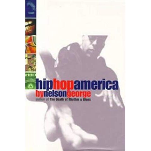 Hip Hop America: Hip Hop And The Molding Of Black Generation X