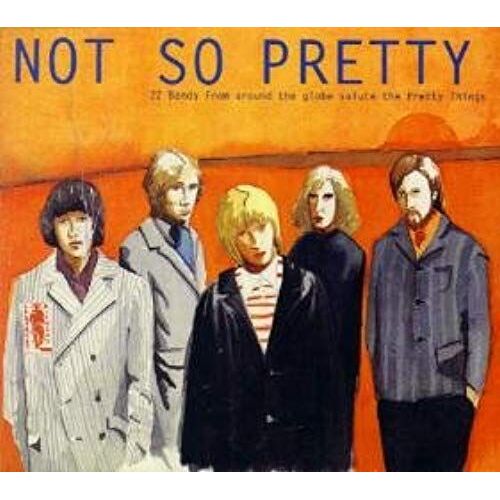 A Tribute To Pretty Things