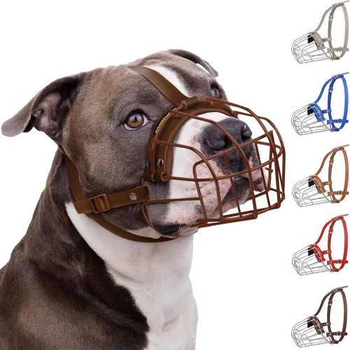 Zara Lit Pour Chien S - Orelier - Panier - Canapé - Housse Amovible, Lavable, Pour Petits Chiens