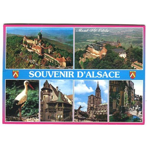Carte Postale - Différentes Vues - Souvenir D' Alsace