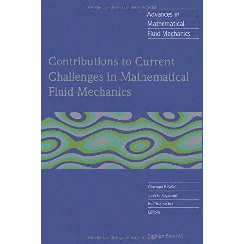 Contributions To Current Challenges In Mathematical Fluid Mechanics