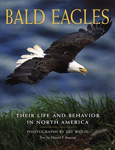 Bald Eagles: Their Life And Behavior In North America
