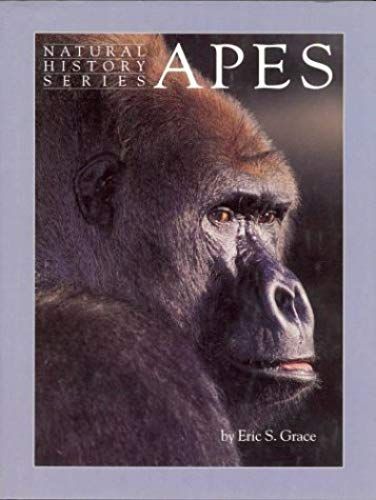 Apes (Natural History)