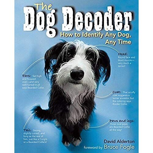 Dog Decoder: How To Identify Any Dog, Any Time