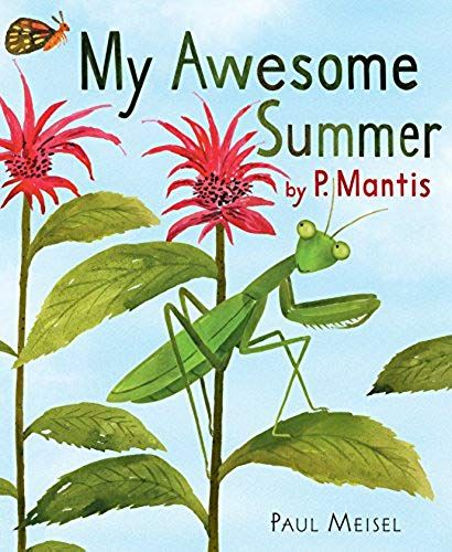 My Awesome Summer By P. Mantis