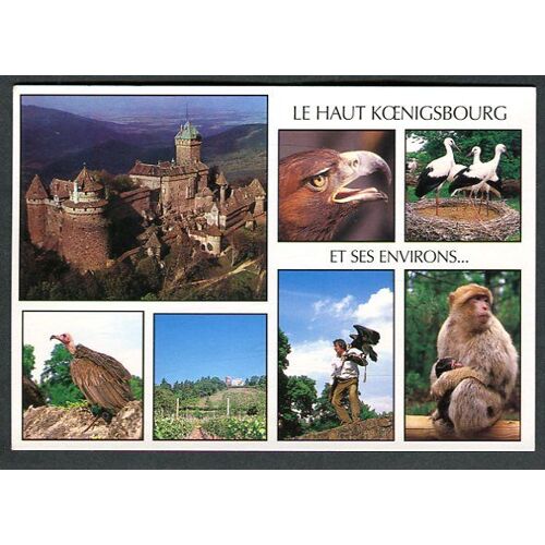 Carte Postale - Le Haut Koenigsbourg Et Ses Environs... - Bas-Rhin - 67