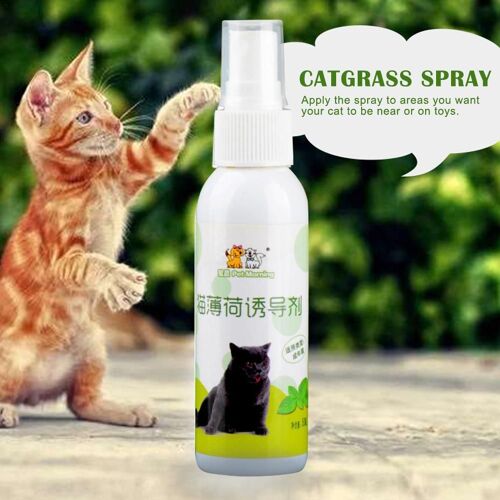 Spray D'herbe À Chat Pour Chats, Ingrédients Sains, Naturel, Menthe, Drôle, Jouet À Gratter, Fournitures Pour Animaux De Compagnie, 1 Pièce