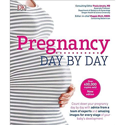 Pregnancy Day By Day: An Illustrated Daily Countdown To Motherhood, From Conception To Childbirth And