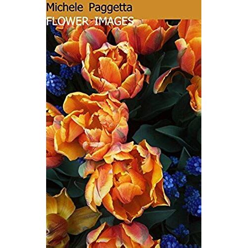 Flower Images