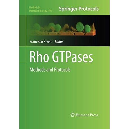 Rho Gtpases