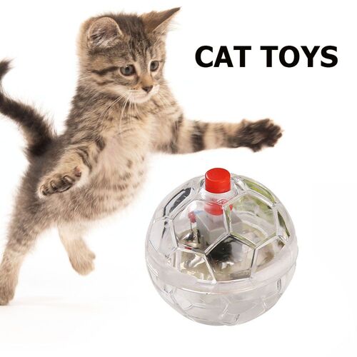 Boule Lumineuse Clignotante Pour Chat, Jouet D'entraînement Interactif, Transparent, En Plastique, À Gratter, Drôle, Animal, Led, Chaton