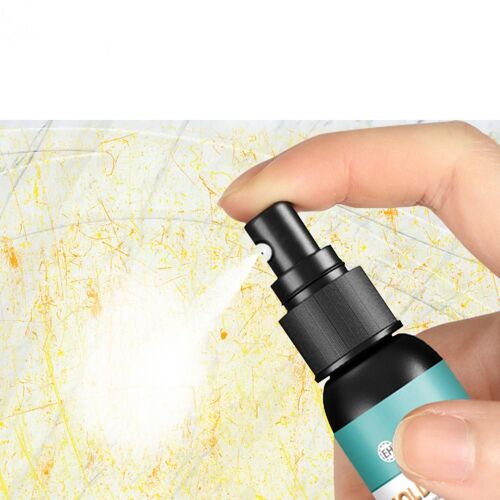 Nettoyeur de Moules Domestiques, Machine à Laver, Vaporisateur de Cuisine, pour Joint de Mur de Toilette, Dissolvant d'Humidité
