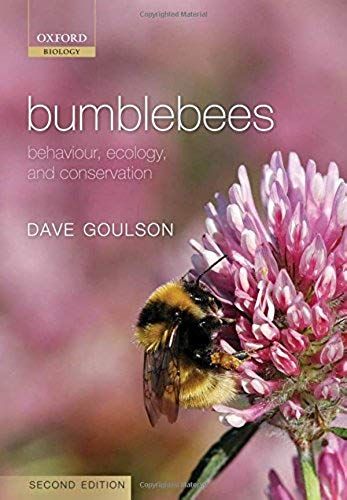 Bumblebees 2e C