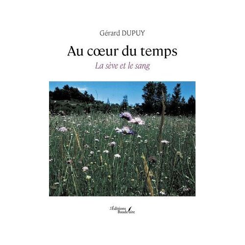 Au Coeur Du Temps