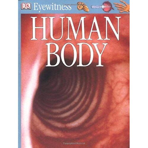Human Body
