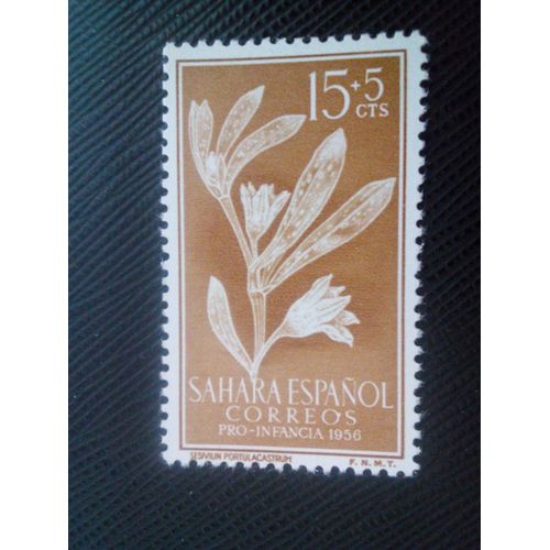 Timbre Sahara Espagnol Y T 114 Sesuvium Portulacastrum. 1956 ( 031206 )