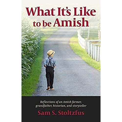 What It's Like To Be Amish