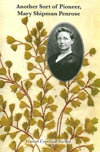 Another Sort Of Pioneer