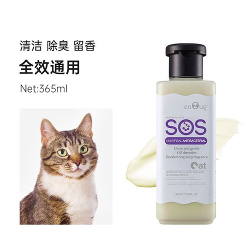 Gel Douche À Parfum Concentré, 365ml, Shampoing Pour Bain De Chat, Produits De Nettoyage Pour Animaux De Compagnie