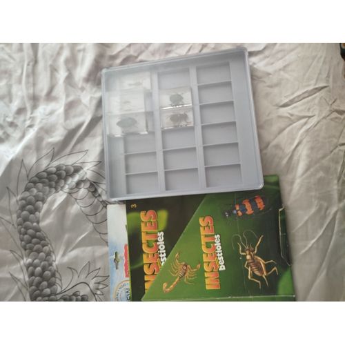 Collection Insectes