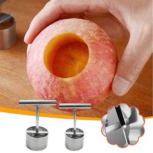 304 Acier inoxydable Fruit Corer Moule Fruit Pear Core Puller Fruit Corer Puncher