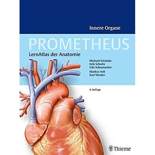 Prometheus Innere Organe