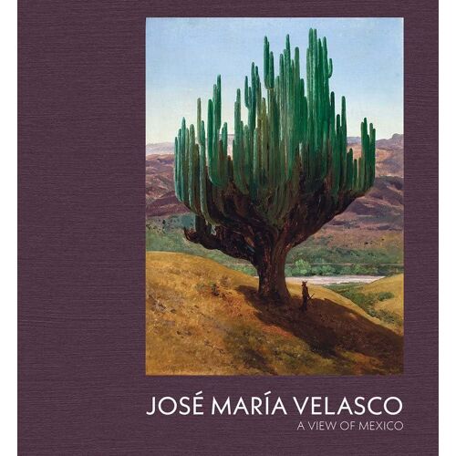 Jose Maria Velasco