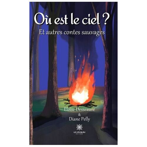 Où Est Le Ciel ?