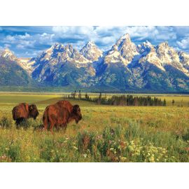 Parc National Grand Teton - Puzzle 1000 Pièces