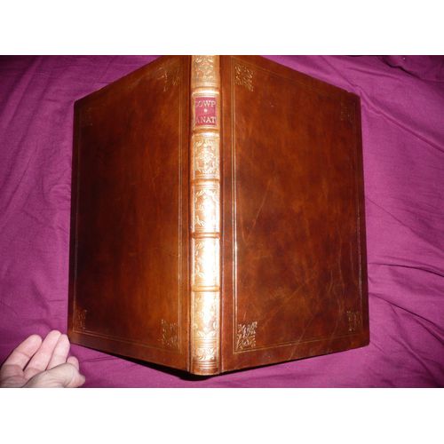 Anatomia Corporum Humanorum, Edition Luxueuse Relié Plein Cuir Reproduisant Celle De 1750